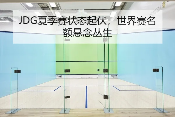 JDG夏季赛状态起伏，世界赛名额悬念丛生